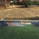 Фото №4 Газон посевной и рулонный