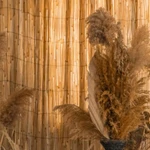 Фото №12 Фотостудия kirpidon