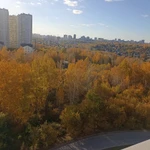 Фото №3 1-к квартира, 46 м2, 10/17 эт.Выборная