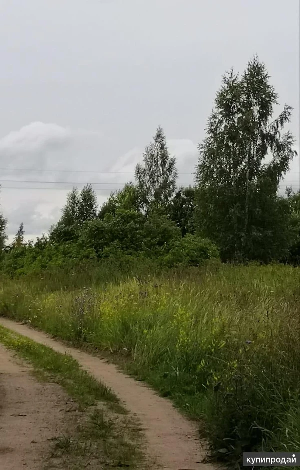 Фото Продам участок 1.65 га