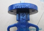 фото Затвор Keystone Butterfly valve DN200 Optiseal 14-102