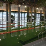 Фото №9 Строительство бассейнов,хамамов, саун под ключ