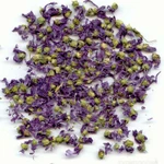 фото Цветы мальвы сушёные