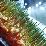 Фото №7 Сок ростков пшеницы - Витграсс