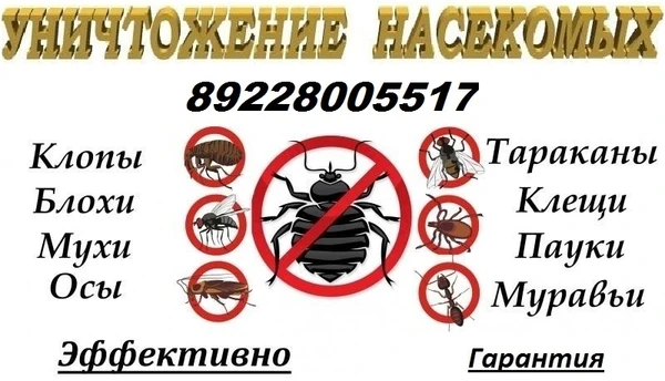 Фото Дезинфекция помещений,  уничтожение насекомых