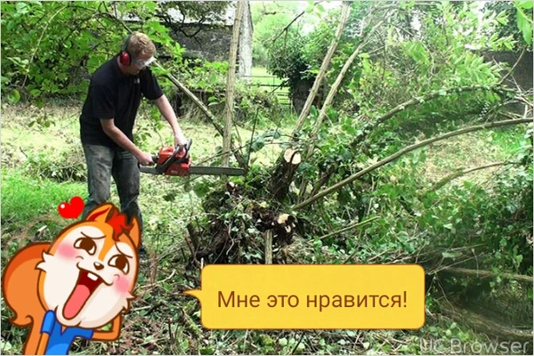 Фото Требуются рабочие