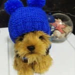 Фото №4 Вязаные шапочки для Ваших любимцев.