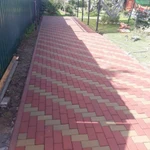Фото №2 Укладка тротуарная плитки