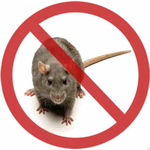 Уничтожение крыс и мышей!