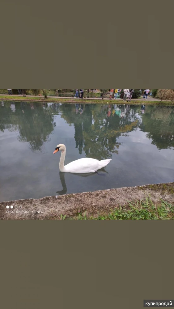 Фото Мастер на час