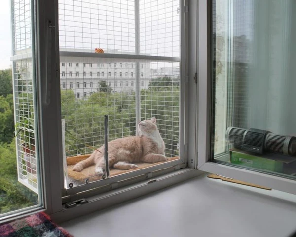 Фото Балкончик для кошки