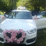 Водитель с личным авто audi Q3