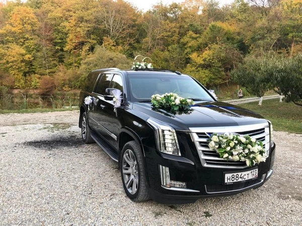 Фото СВАДЕБНЫЕ УКРАШЕНИЯ НА  АВТОМОБИЛЬ