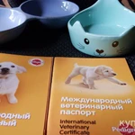 Фото №2 Паспорт для собак новый