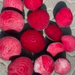 Фото №2 Свекла столовая