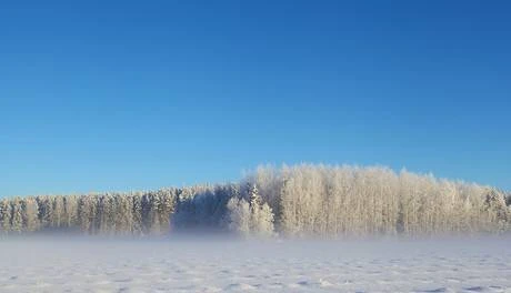 Фото Участок под хозяйство