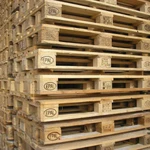 Фитосанитарная обработка