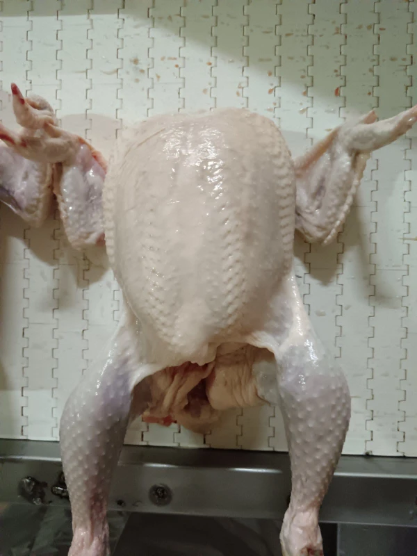 Фото Мясо птицы Цыпленок Бройлер 1-2 сорта Беларусь.