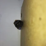 Фото №4 Датчик температуры ож 612630060035