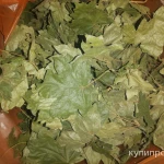 Фото №3 Клён листья. Цена за 100 грамм.