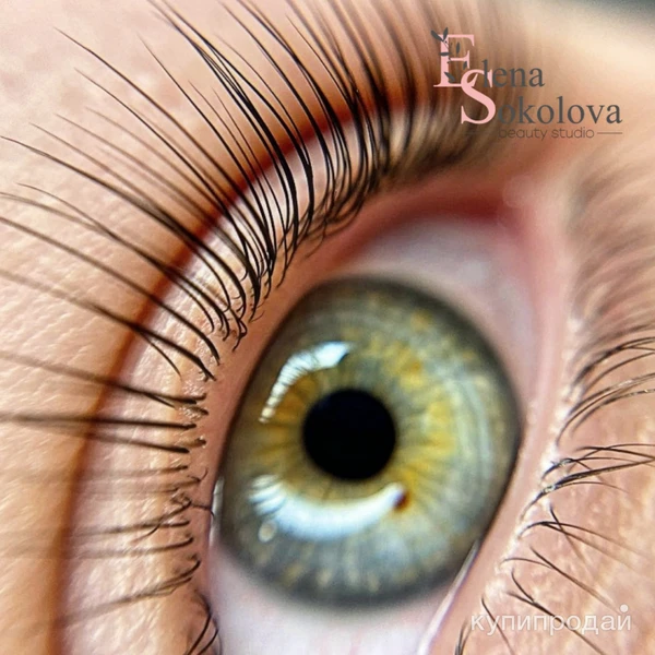 Фото Ламинирование ресниц Брови Обучение