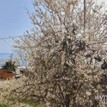 Фото №12 Продам Дом в Алуште