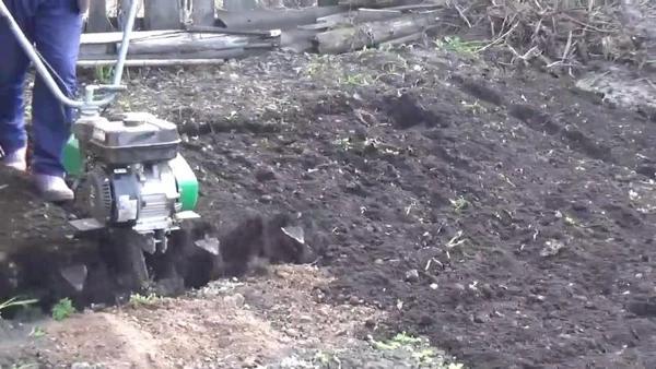 Фото Вспашка земли мотоблоком,покос травы,опиловка деревьев
