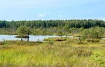 фото Фундамент на болотах торфянниках в Тюмени, Тобольске, Сургут