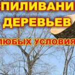 Спиливание деревьев