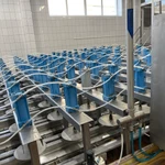 Фото №4 Линия производства сыра Obram