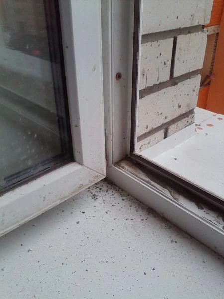 Фото Мойка окон, уборка после ремонта в Брянске