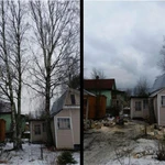 Фото №4 Покос травы