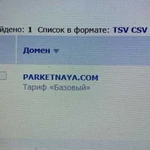 Доменное имя parketnaya.com