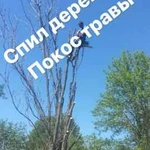 Спил деревьев/покос травы/уборка участков