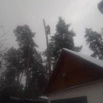 Фото №6 Измельчитель веток в аренду. Расчистка участков
