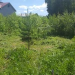 Фото №3 Вспашка.Выравнивание участка. Покос травы
