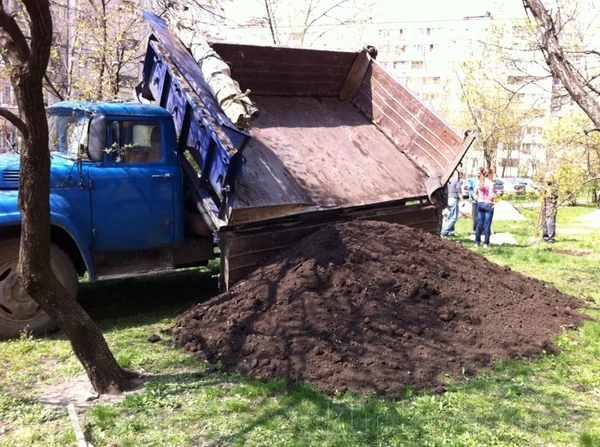 Фото Торф, земля, грунт, чернозем, навоз, перегной, компост