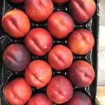 Фото №10 Продаем нектарин