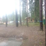 Фото №19 Выполнен объект Валка Расчистка Спил Уборка. 101 фотография.