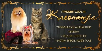 Фото Стрижка собак всех пород и кошек