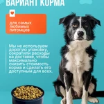 Фото №4 Корм для собак эконом-класса Вожак 5 КГ