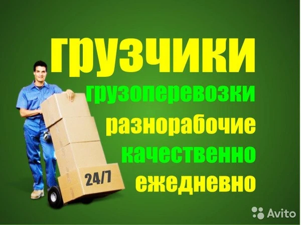 Фото Гузчики