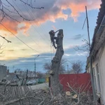 Фото №4 Спилить дерево.Удаление деревьев.Арбористика