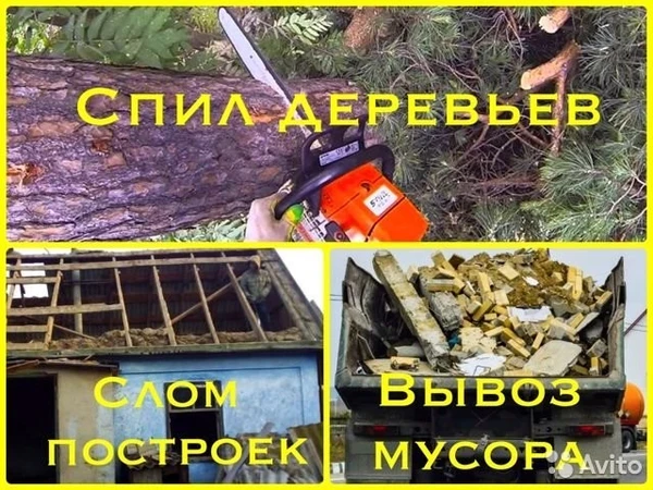 Фото Спил деревьев, уборка участков, демонтаж, вывоз мусора