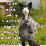 Стрижка кошек