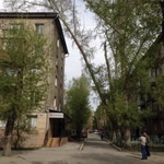 Фото №5 Профессиональная валка деревьев