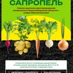 фото Сапропель органическое удобрение ОПТ