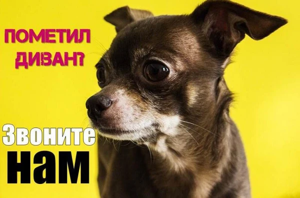 Фото Химчистка мягкой мебели в Голицыно