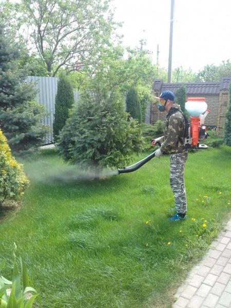Фото Обработка от вредителей и болезней