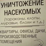 Уничтожение тараканов, клопов, любых насекомых